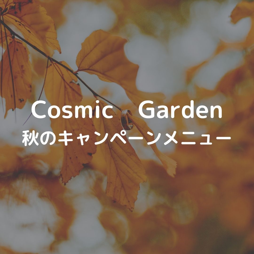 Cosmic Garden 秋のキャンペーンメニュー