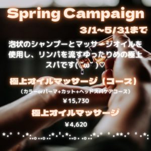 Spring Campaign (3)