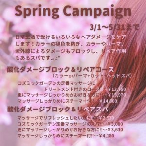 Spring Campain