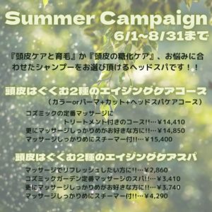 Summer Campaign(2)　配信用