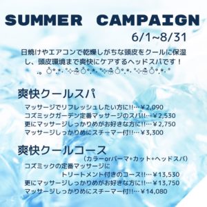 Summer Campaign (1)