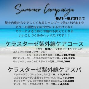 Summer Campaign (3)